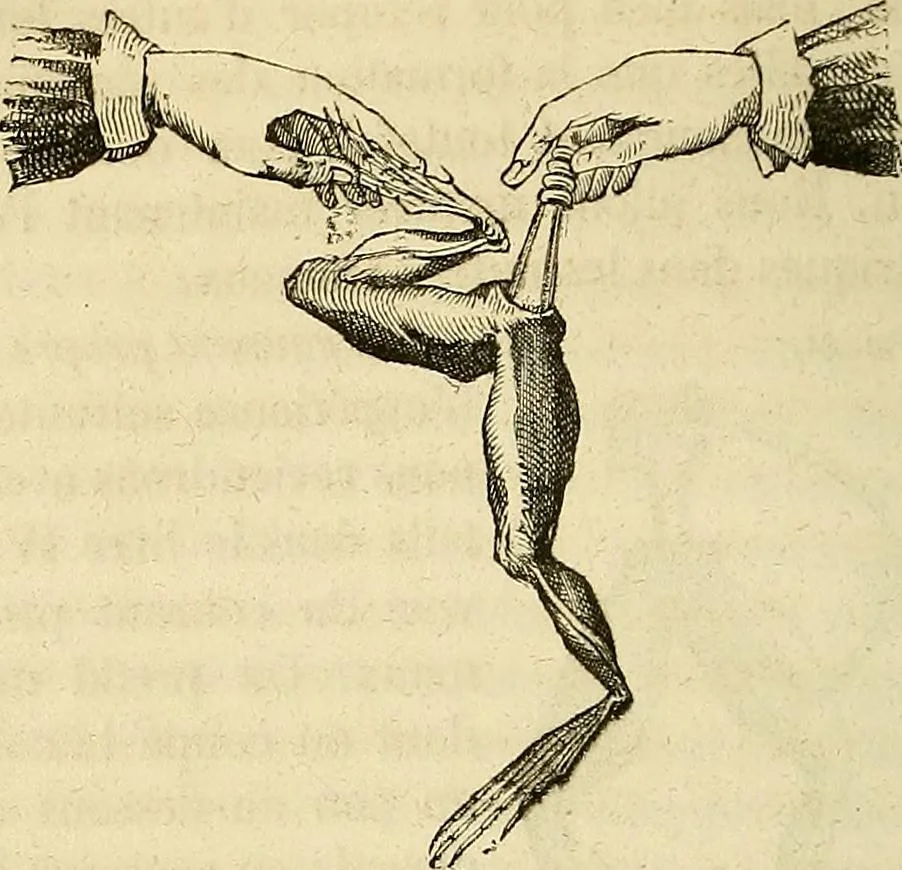 An illustration from Traité d'électricité et de magnétisme : et des applications de ces sciences a la chimie, a la physiologie et aux arts, 1855, leaf 293