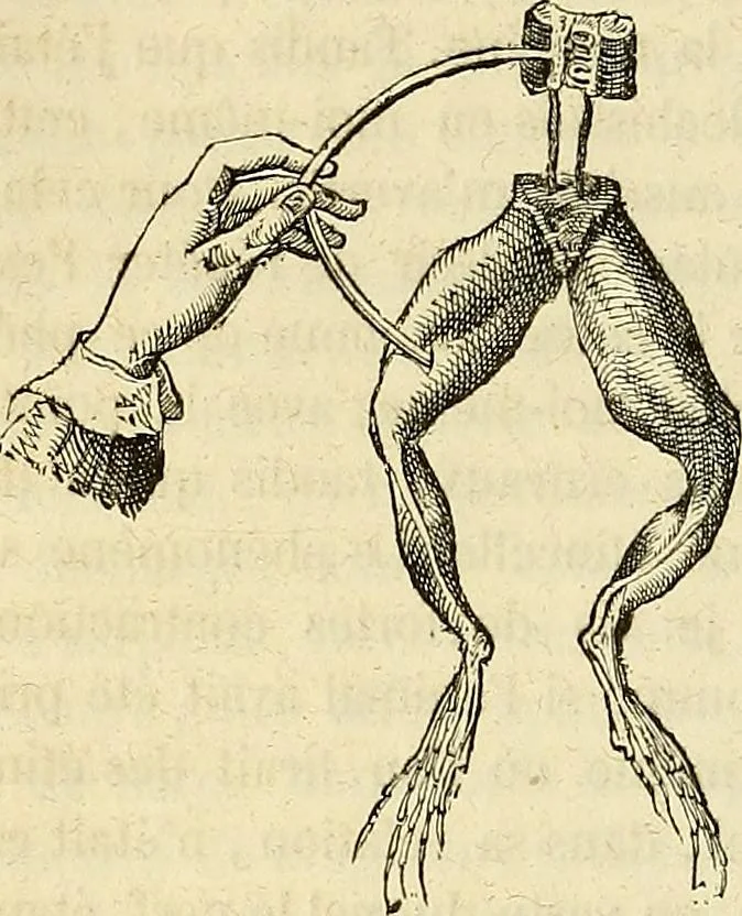 An illustration from Traité d'électricité et de magnétisme : et des applications de ces sciences a la chimie, a la physiologie et aux arts, 1855, leaf 397