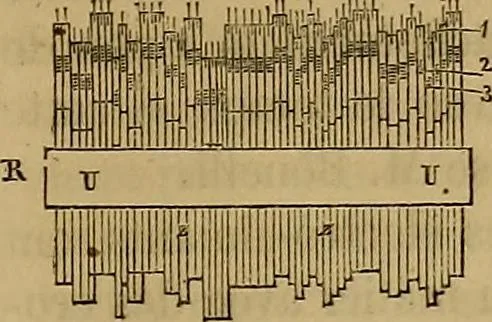 An illustration from Traité d'électricité et de magnétisme : et des applications de ces sciences a la chimie, a la physiologie et aux arts, 1855, leaf 360