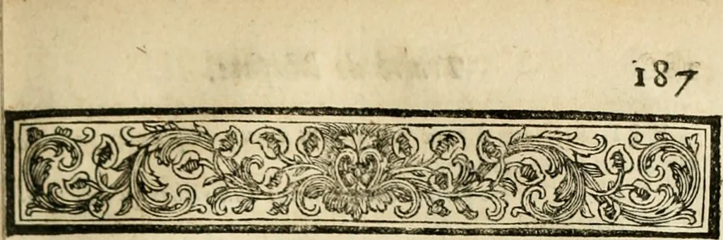 An illustration from Traité du négoce et de l'usure, divisé en deux parties, 1697, leaf 214
