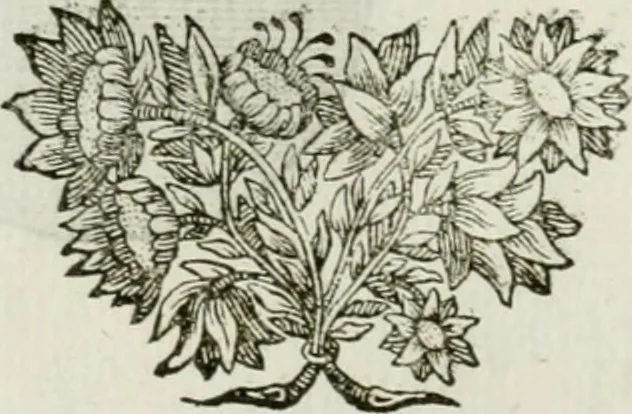 An illustration from Traité d'architecture, ou, Proportions des trois ordres grecs : sur un module de douze parties, 1768, leaf 107