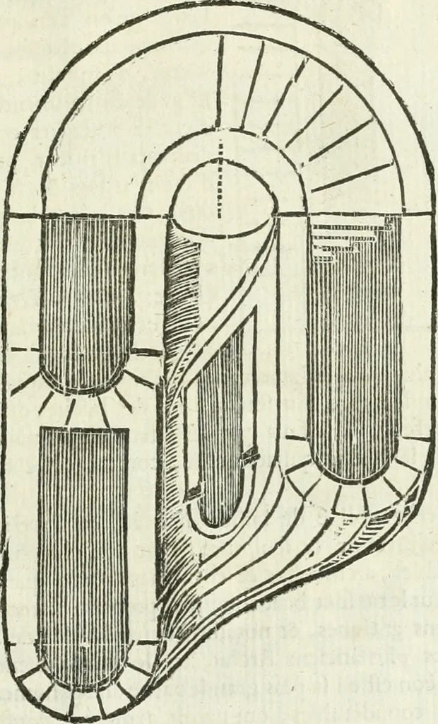 An illustration from Traité d'architecture, ou, Proportions des trois ordres grecs : sur un module de douze parties, 1768, leaf 206