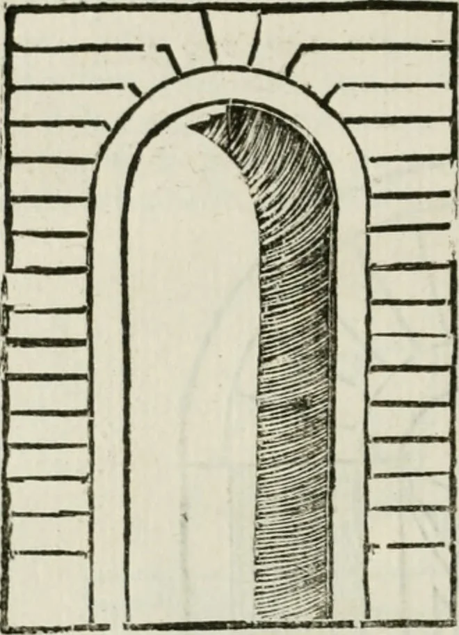 An illustration from Traité d'architecture, ou, Proportions des trois ordres grecs : sur un module de douze parties, 1768, leaf 207