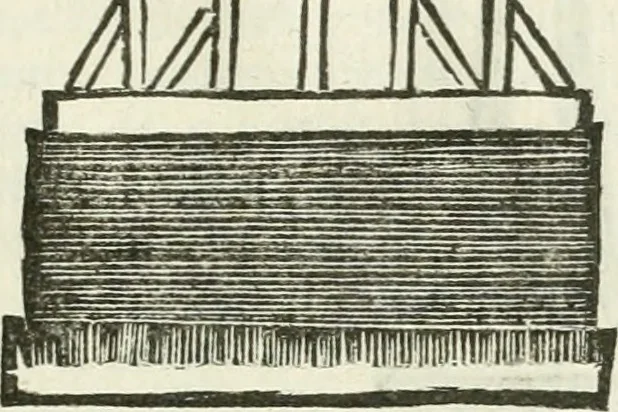 An illustration from Traité d'architecture, ou, Proportions des trois ordres grecs : sur un module de douze parties, 1768, leaf 240