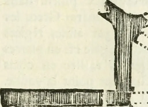 An illustration from Traité d'architecture, ou, Proportions des trois ordres grecs : sur un module de douze parties, 1768, leaf 244