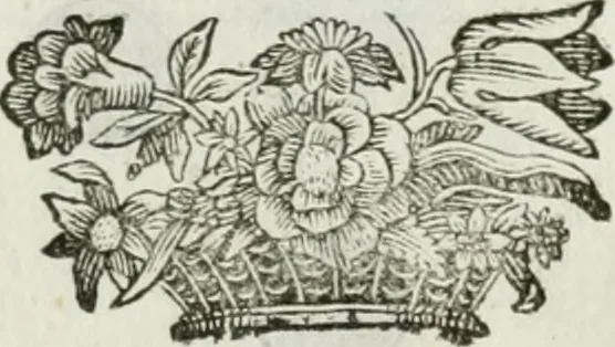 An illustration from Traité d'architecture, ou, Proportions des trois ordres grecs : sur un module de douze parties, 1768, leaf 91