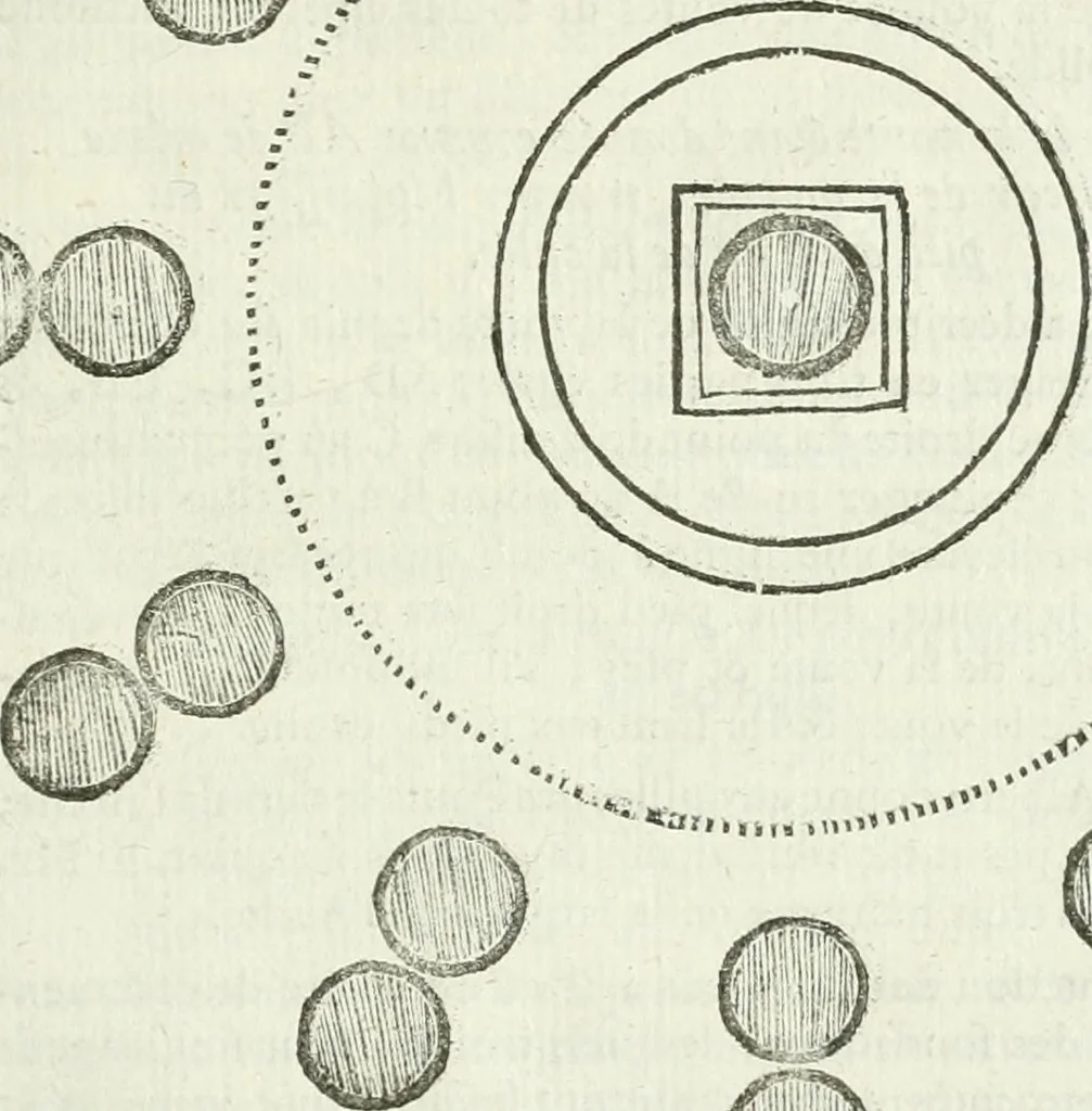 An illustration from Traité d'architecture, ou, Proportions des trois ordres grecs : sur un module de douze parties, 1768, leaf 94