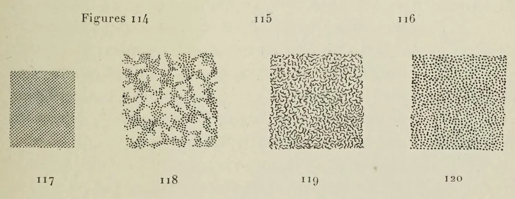 An illustration from Traité de la gravure sur rouleaux, 1906, leaf 123