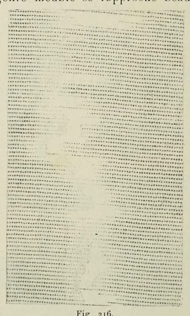 An illustration from Traité de la gravure sur rouleaux, 1906, leaf 192