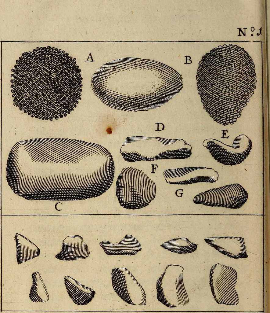An illustration from Traite' de la lithotomie, ou, De l'extraction de la pierre, hors de la vessie : enrichy de figures necessaires pour representer la maniére de sonder, les instrumens propres, le malade dans l'operation : la ponction du perinée, & les differentes methodes de tirer la pierre : avec les appareils, les remedes preservatifs du calcul, & les medicamens pour les taillez, 1686, leaf 37
