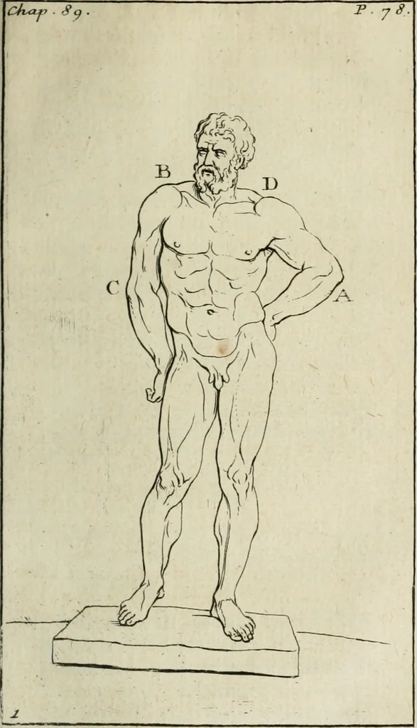 An illustration from Traité de la peinture, 1716, leaf 166