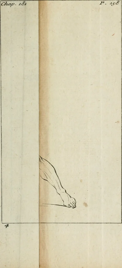 An illustration from Traité de la peinture, 1716, leaf 252