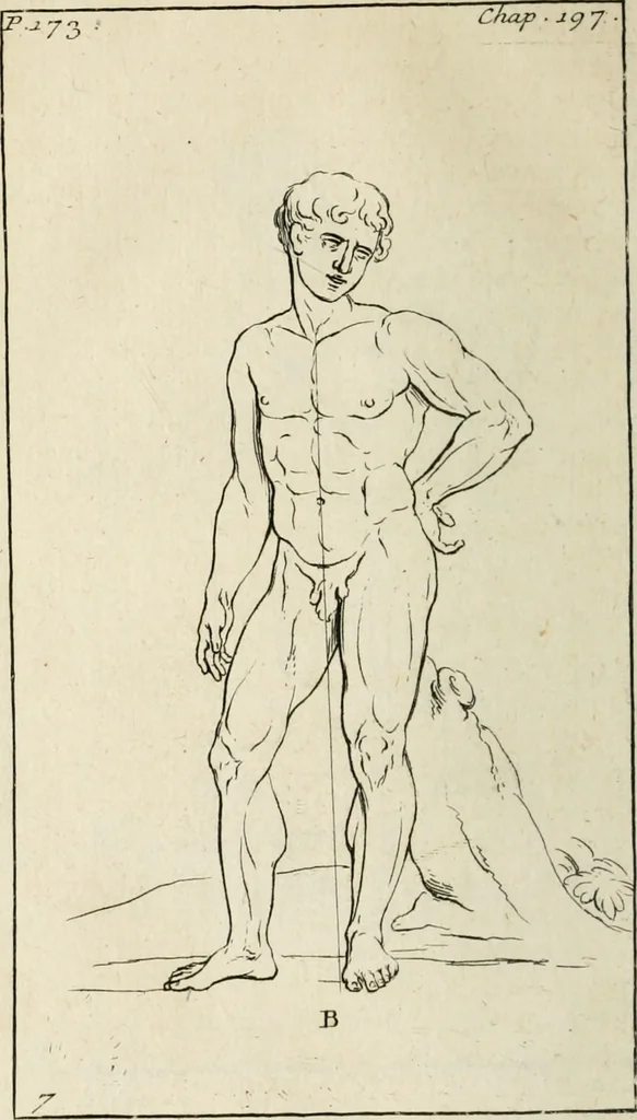 An illustration from Traité de la peinture, 1716, leaf 275