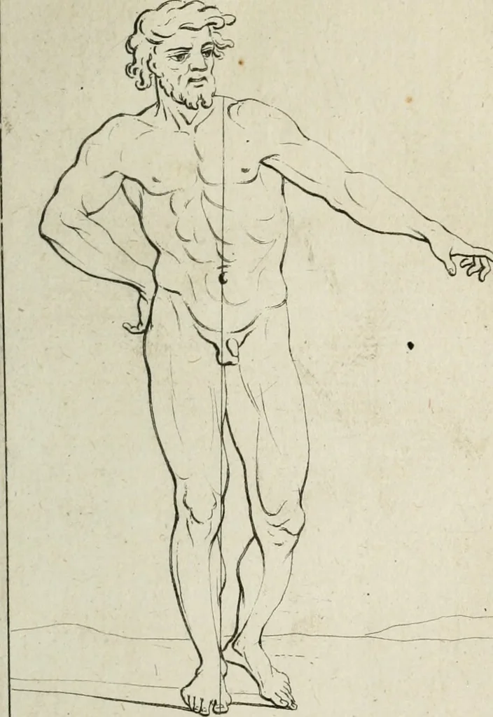 An illustration from Traité de la peinture, 1716, leaf 282