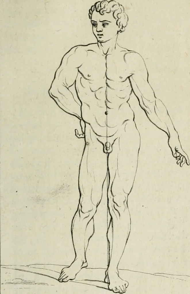 An illustration from Traité de la peinture, 1716, leaf 290
