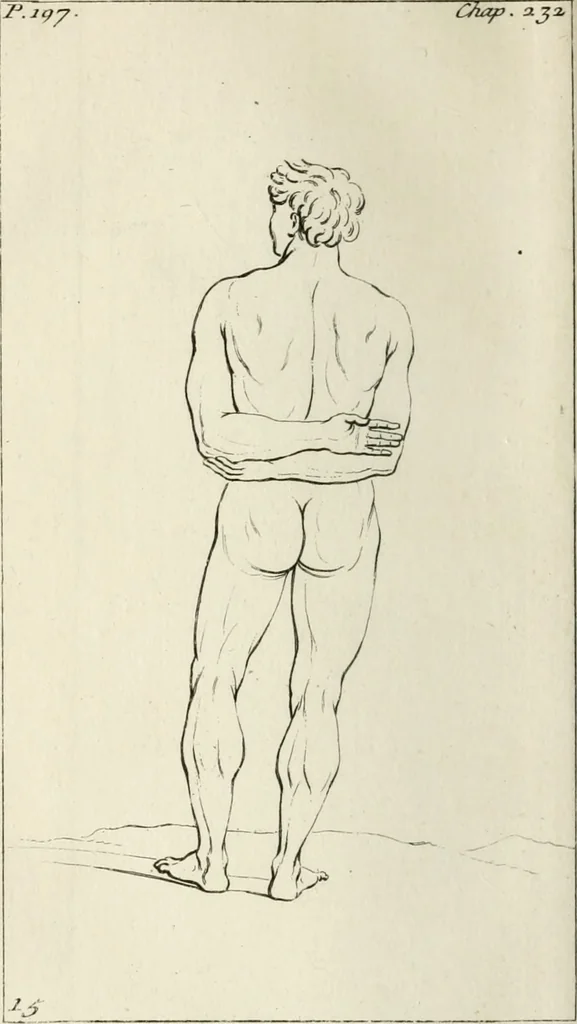 An illustration from Traité de la peinture, 1716, leaf 311