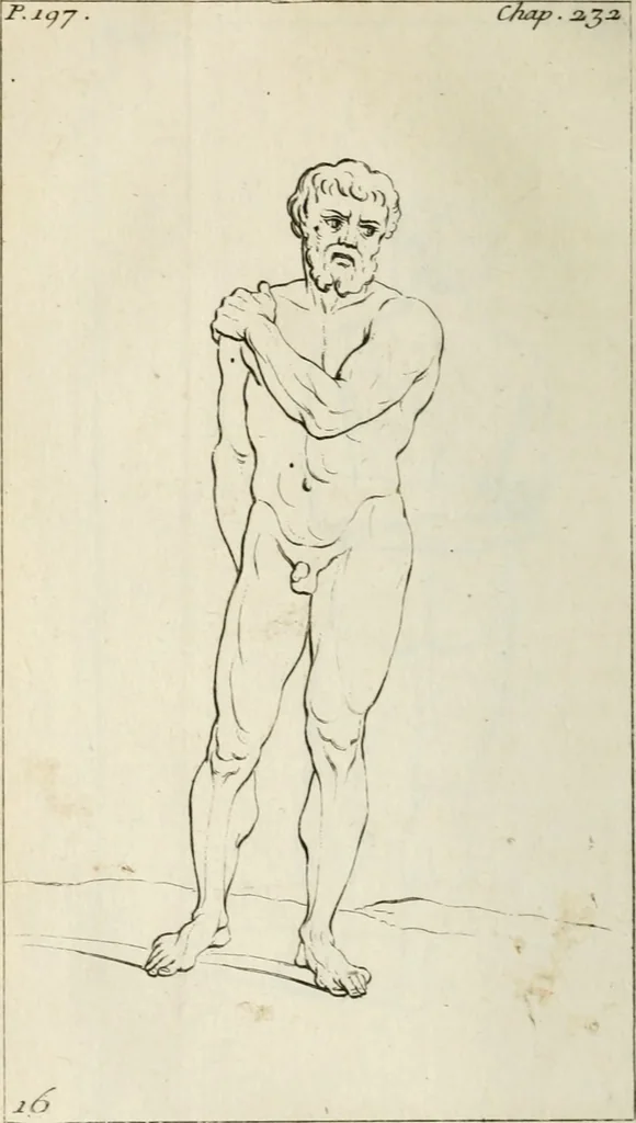 An illustration from Traité de la peinture, 1716, leaf 313