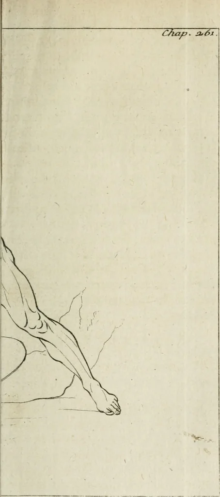 An illustration from Traité de la peinture, 1716, leaf 340