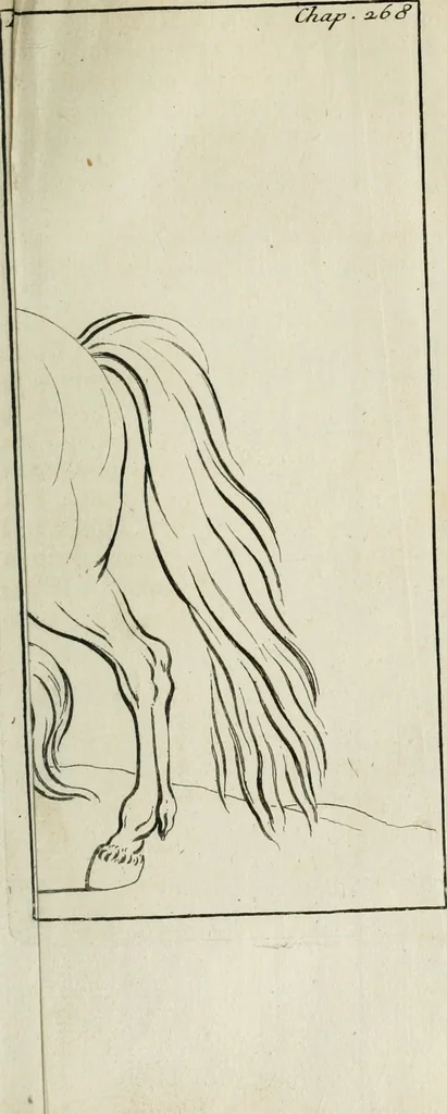 An illustration from Traité de la peinture, 1716, leaf 350