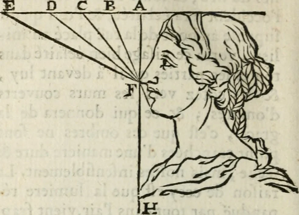 An illustration from Traité de la peinture, 1716, leaf 371