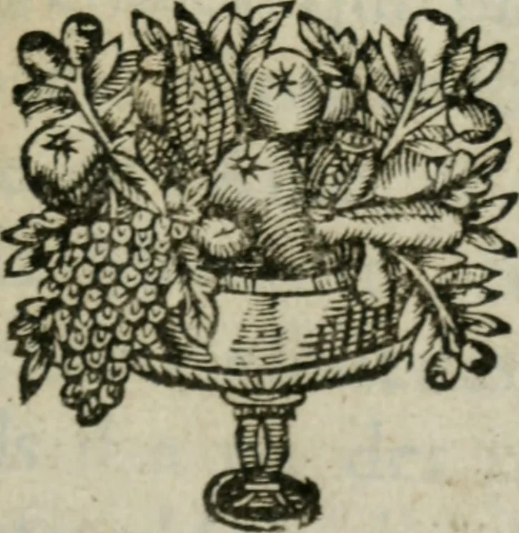 An illustration from Traite de l'esprit de l'homme et de ses fonctions, 1649, leaf 6