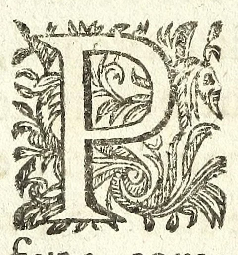 An illustration from Traité des feux artificiels pour la guerre et pour la recreation : auec plusieurs belles obseruations, abregez de geometrie, fortifications, horloges solairs, & exemples d'arithmetique, 1640, leaf 100
