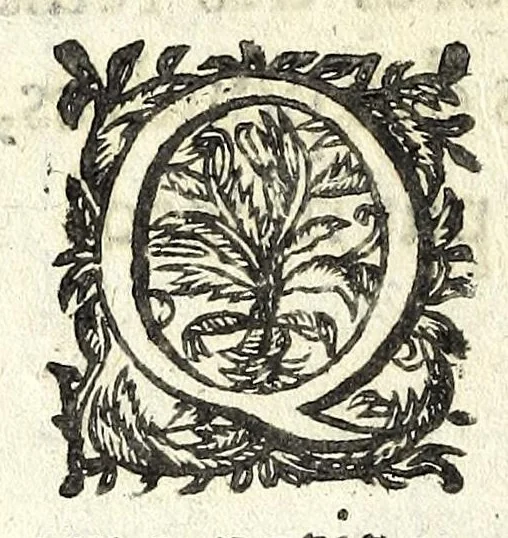 An illustration from Traité des feux artificiels pour la guerre et pour la recreation : auec plusieurs belles obseruations, abregez de geometrie, fortifications, horloges solairs, & exemples d'arithmetique, 1640, leaf 140