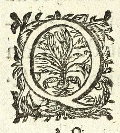 An illustration from Traité des feux artificiels pour la guerre et pour la recreation : auec plusieurs belles obseruations, abregez de geometrie, fortifications, horloges solairs, & exemples d'arithmetique, 1640, leaf 36