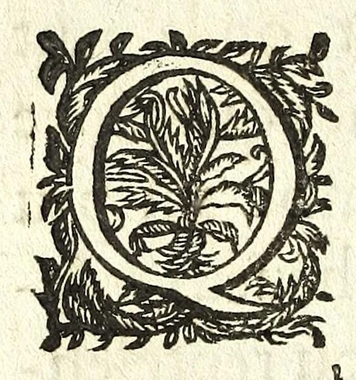 An illustration from Traité des feux artificiels pour la guerre et pour la recreation : auec plusieurs belles obseruations, abregez de geometrie, fortifications, horloges solairs, & exemples d'arithmetique, 1640, leaf 92