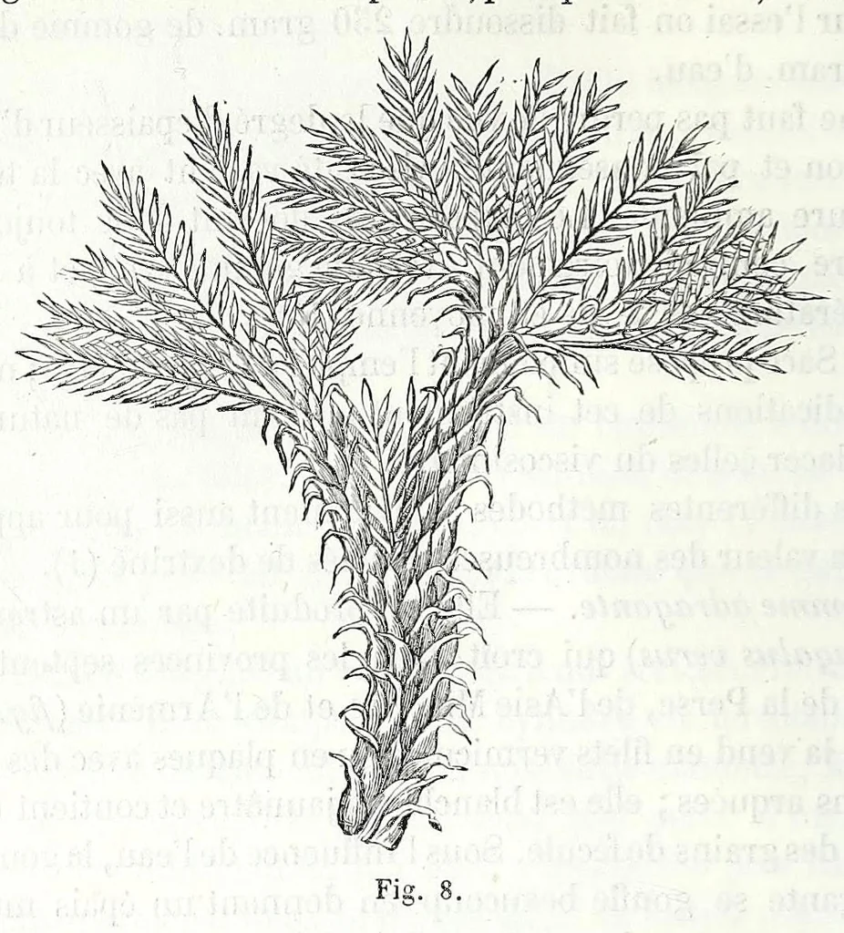 An illustration from Traité des matières colorantes : comprenant leurs applications à la teinture et à l'impression et des notices sur les fibres textiles, les épaississants et les mordants ..., 1867, leaf 114