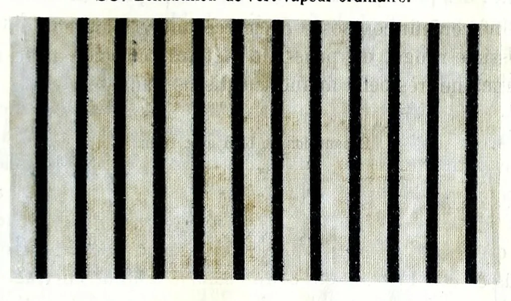 An illustration from Traité des matières colorantes : comprenant leurs applications à la teinture et à l'impression et des notices sur les fibres textiles, les épaississants et les mordants ..., 1867, leaf 401