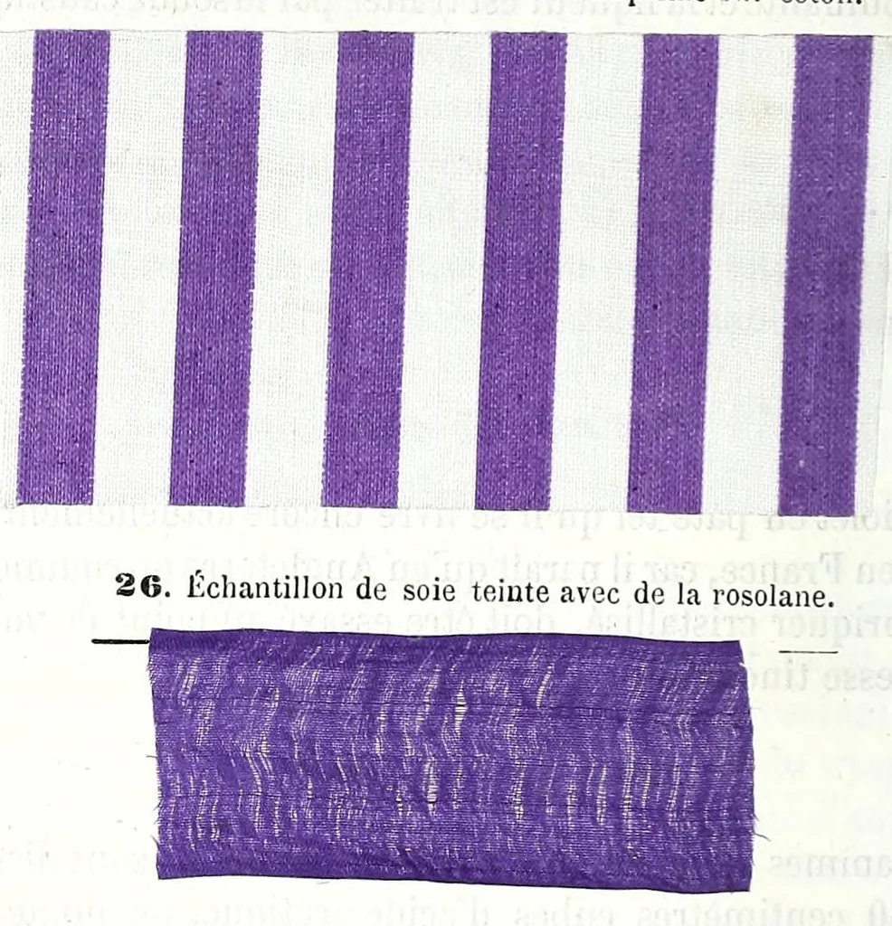 An illustration from Traité des matières colorantes : comprenant leurs applications à la teinture et à l'impression et des notices sur les fibres textiles, les épaississants et les mordants ..., 1867, leaf 480