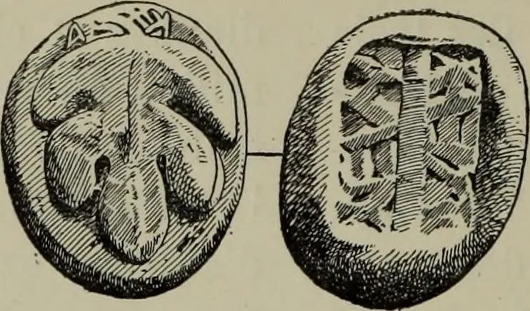 An illustration from Traite des monnaies grecques et romaines;, 1901, leaf 245