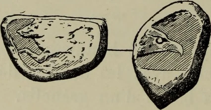 An illustration from Traite des monnaies grecques et romaines;, 1901, leaf 249