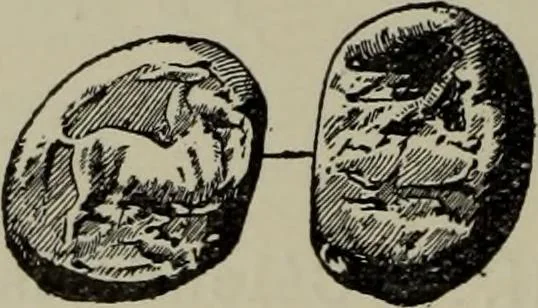 An illustration from Traite des monnaies grecques et romaines;, 1901, leaf 289