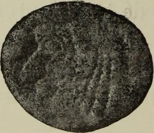 An illustration from Traite des monnaies grecques et romaines;, 1901, leaf 51