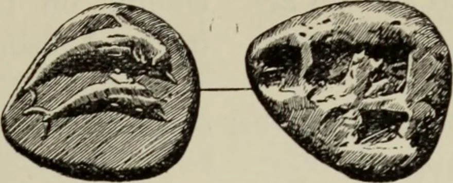 An illustration from Traite des monnaies grecques et romaines;, 1901, leaf 676