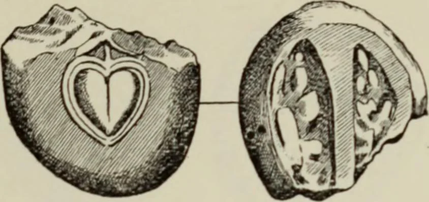 An illustration from Traite des monnaies grecques et romaines;, 1901, leaf 684