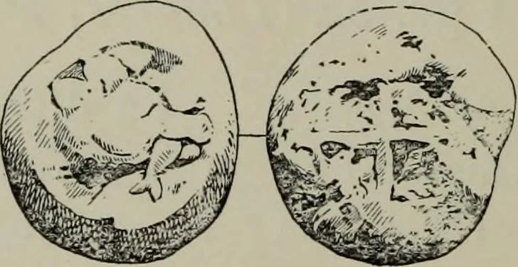 An illustration from Traite des monnaies grecques et romaines;, 1901, leaf 93