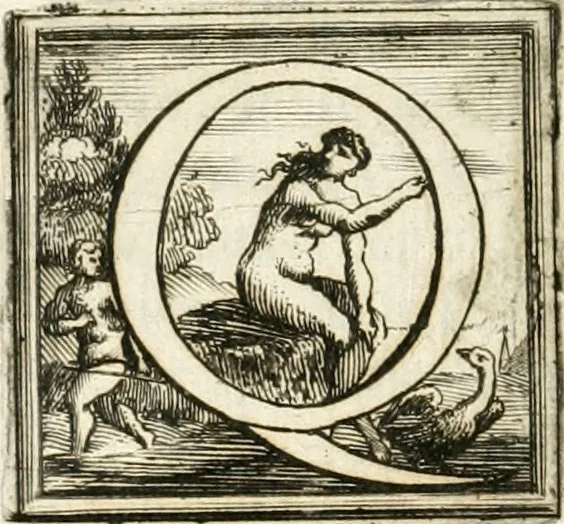 An illustration from Traité des tournois, joustes, carrousels, et autres spectacles publics, 1669, leaf 311