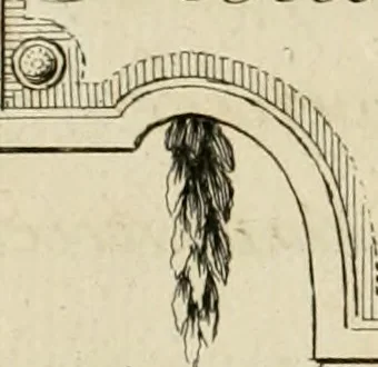 An illustration from Traité du beau essentiel dans les arts : appliqué particulièrement à l'architecture, et démontré phisiquement et par l'expérience ..., 1752, leaf 237