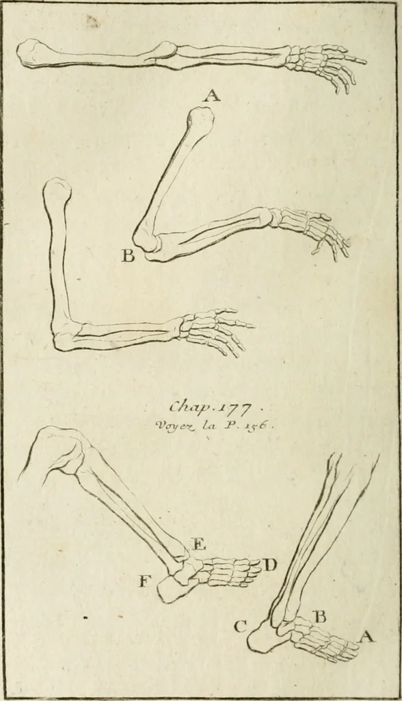 An illustration from Traité de la peinture, 1796, leaf 221
