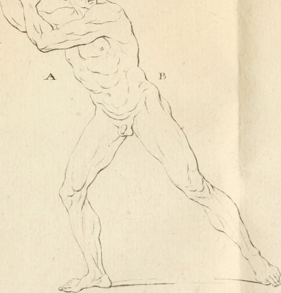An illustration from Traité de la peinture, 1796, leaf 226