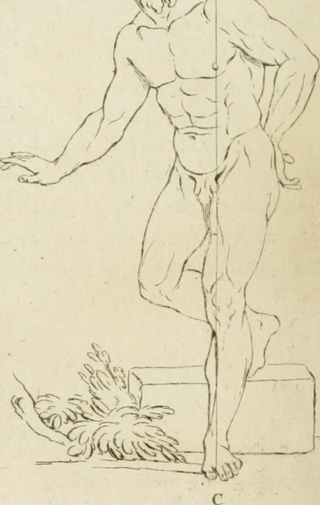 An illustration from Traité de la peinture, 1796, leaf 251