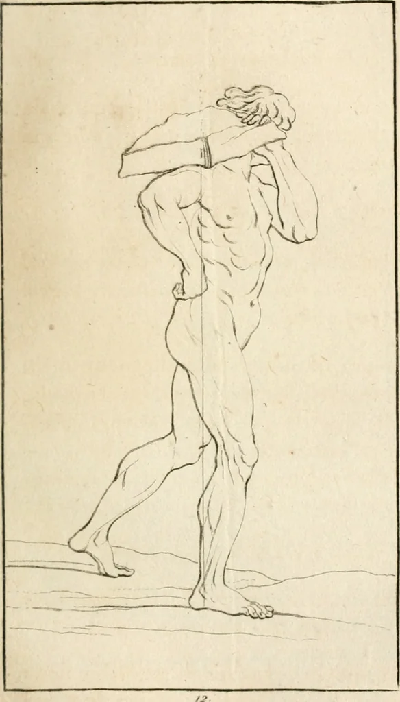 An illustration from Traité de la peinture, 1796, leaf 260