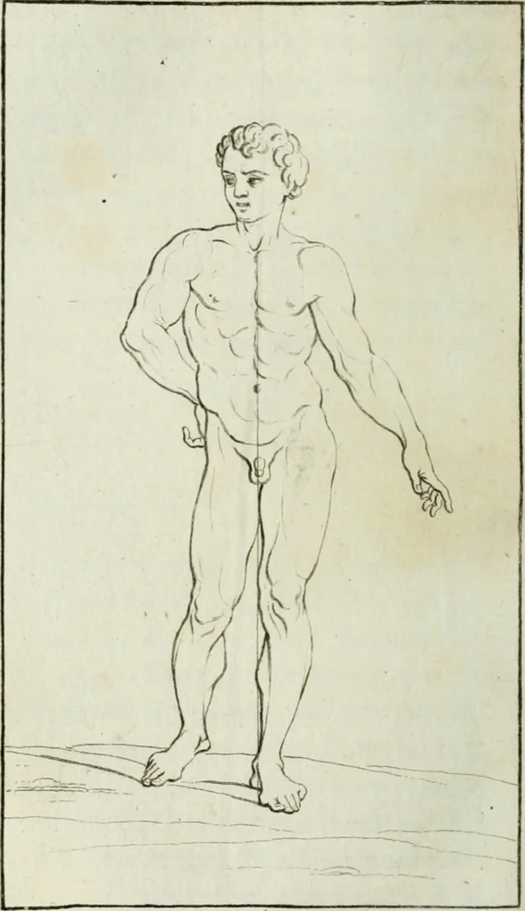 An illustration from Traité de la peinture, 1796, leaf 267