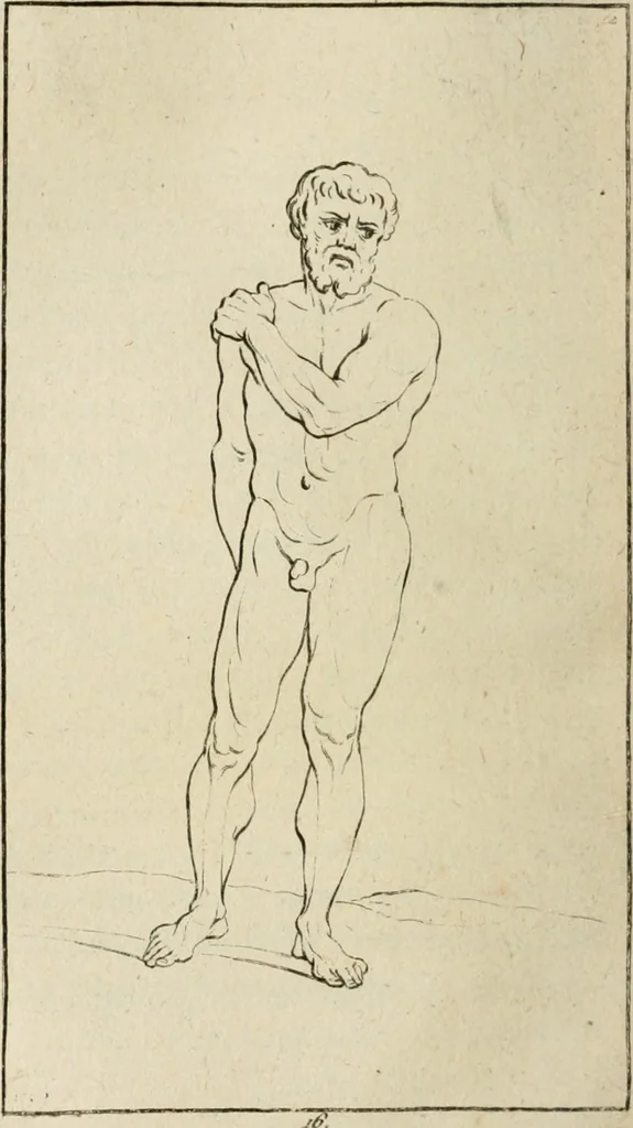 An illustration from Traité de la peinture, 1796, leaf 277