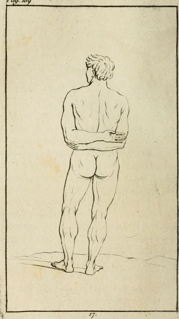 An illustration from Traité de la peinture, 1796, leaf 289