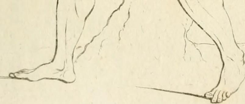 An illustration from Traité de la peinture, 1796, leaf 292