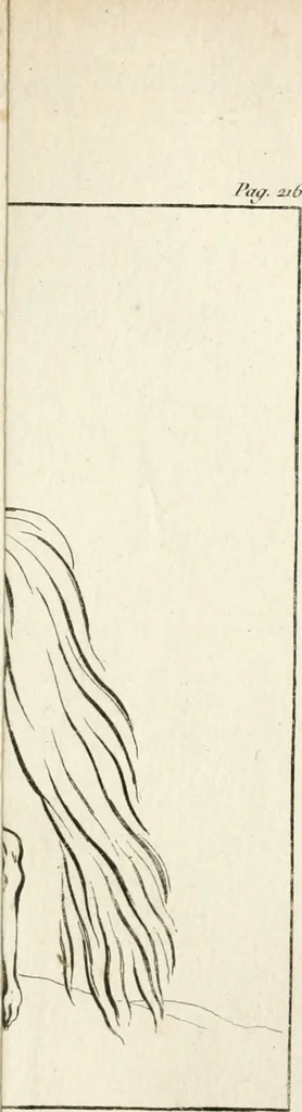 An illustration from Traité de la peinture, 1796, leaf 326